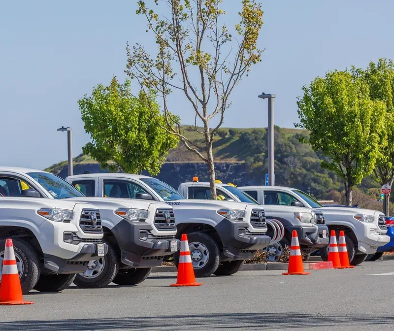 Row of white work pickups parked side by side